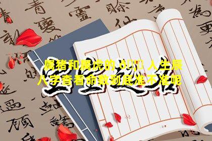 属猪和属虎的 🦁 人生辰八字查看命数到底准不准呢